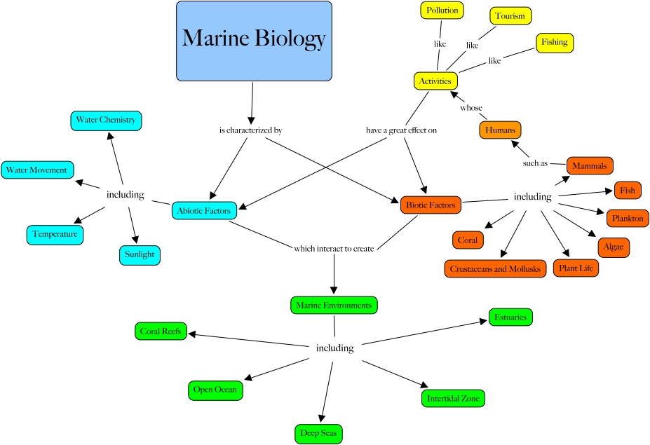 marine-biology-course-concept-map